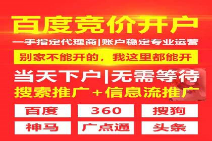 成功案例分享：SEM竞价代运营策略解析